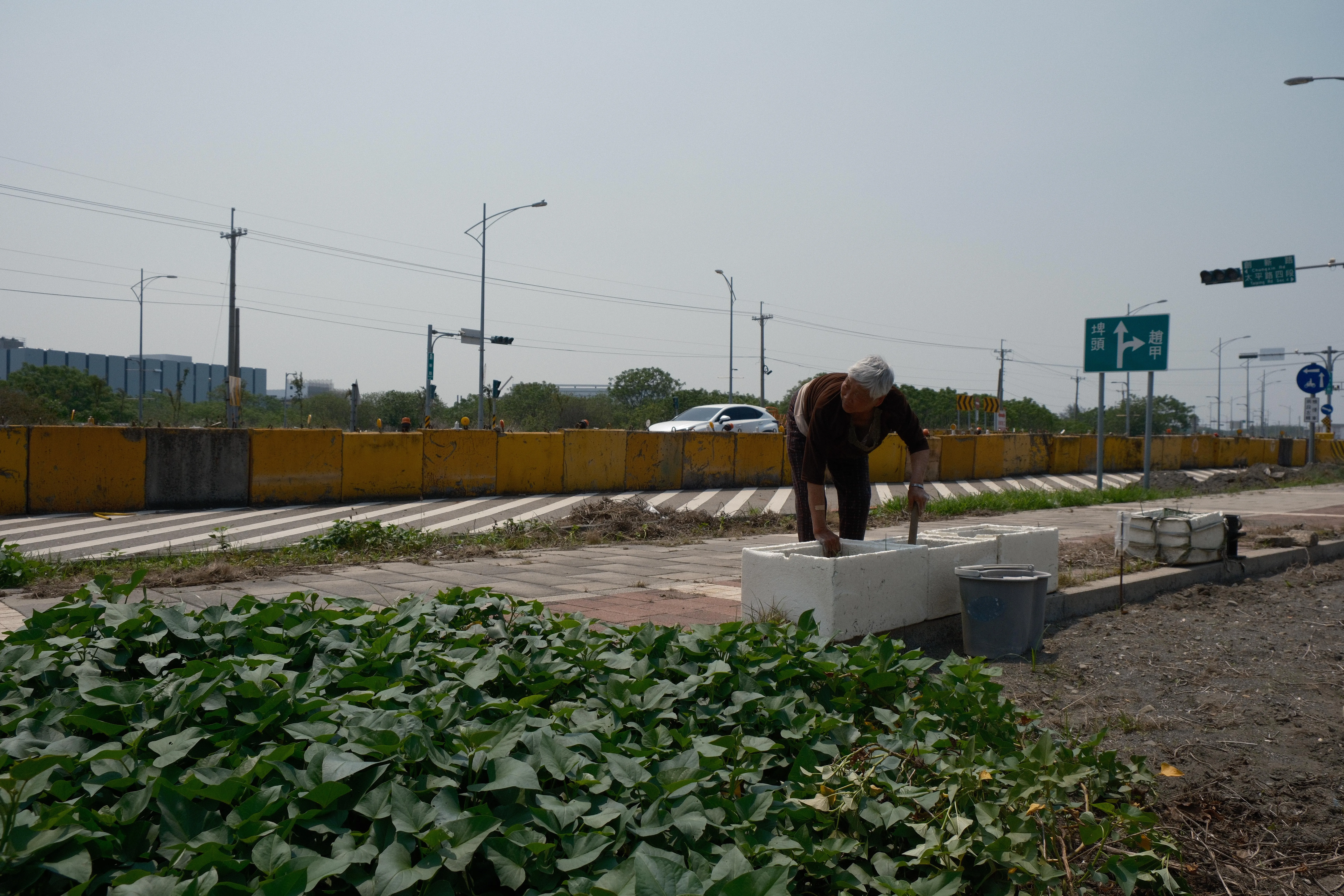 Erlin — Meifang - Image 1