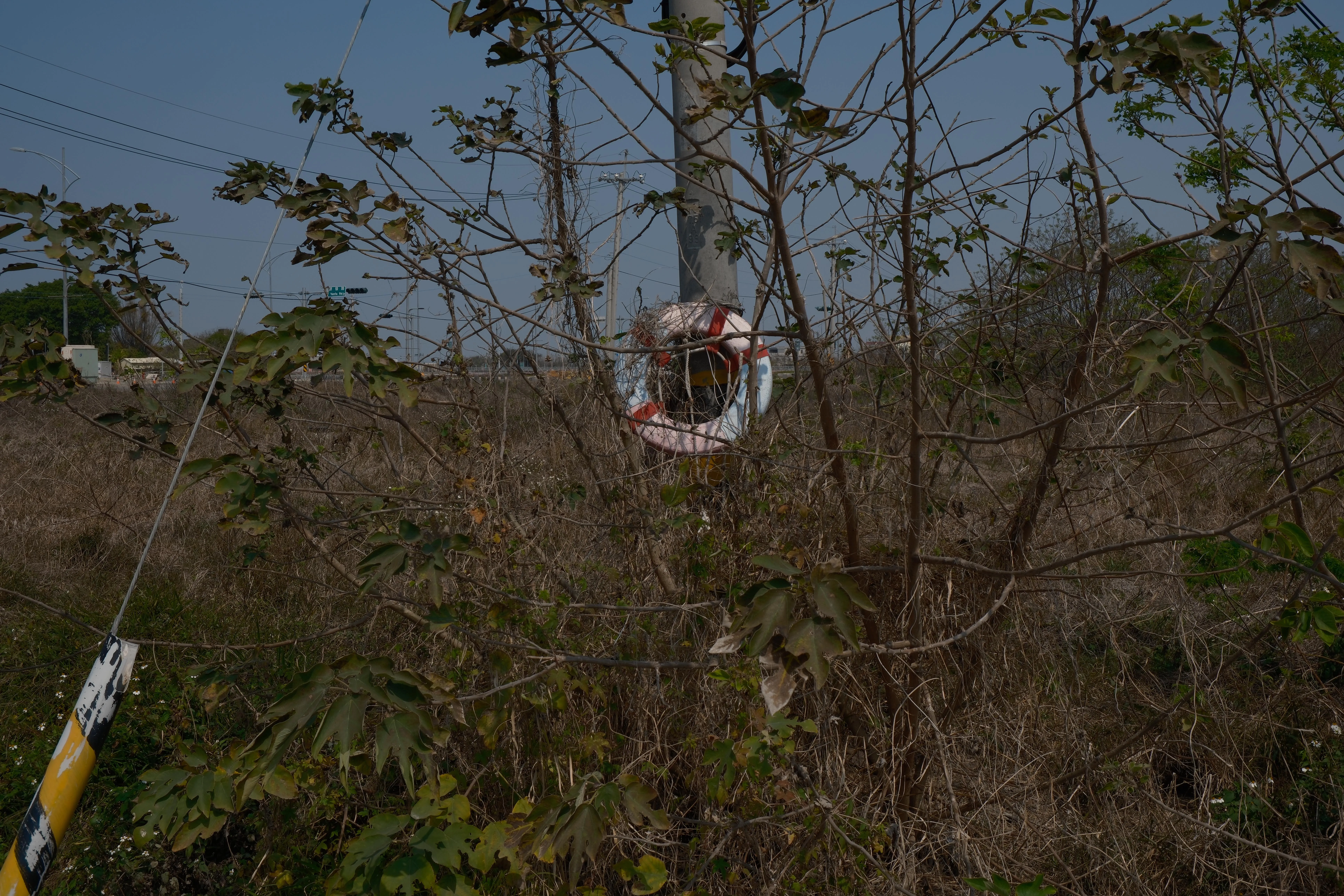 Erlin — Meifang - Image 6