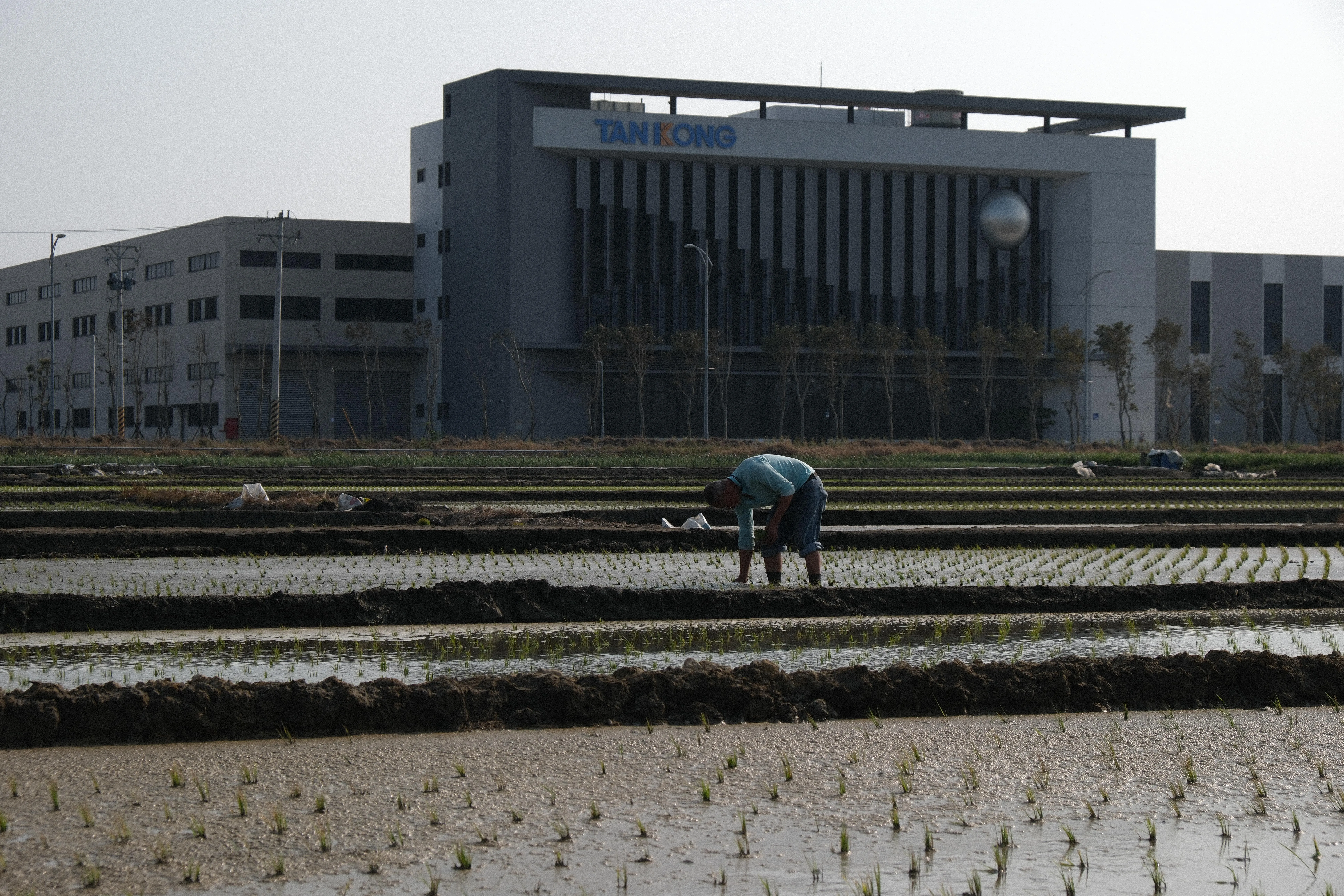 Erlin — Meifang - Image 7