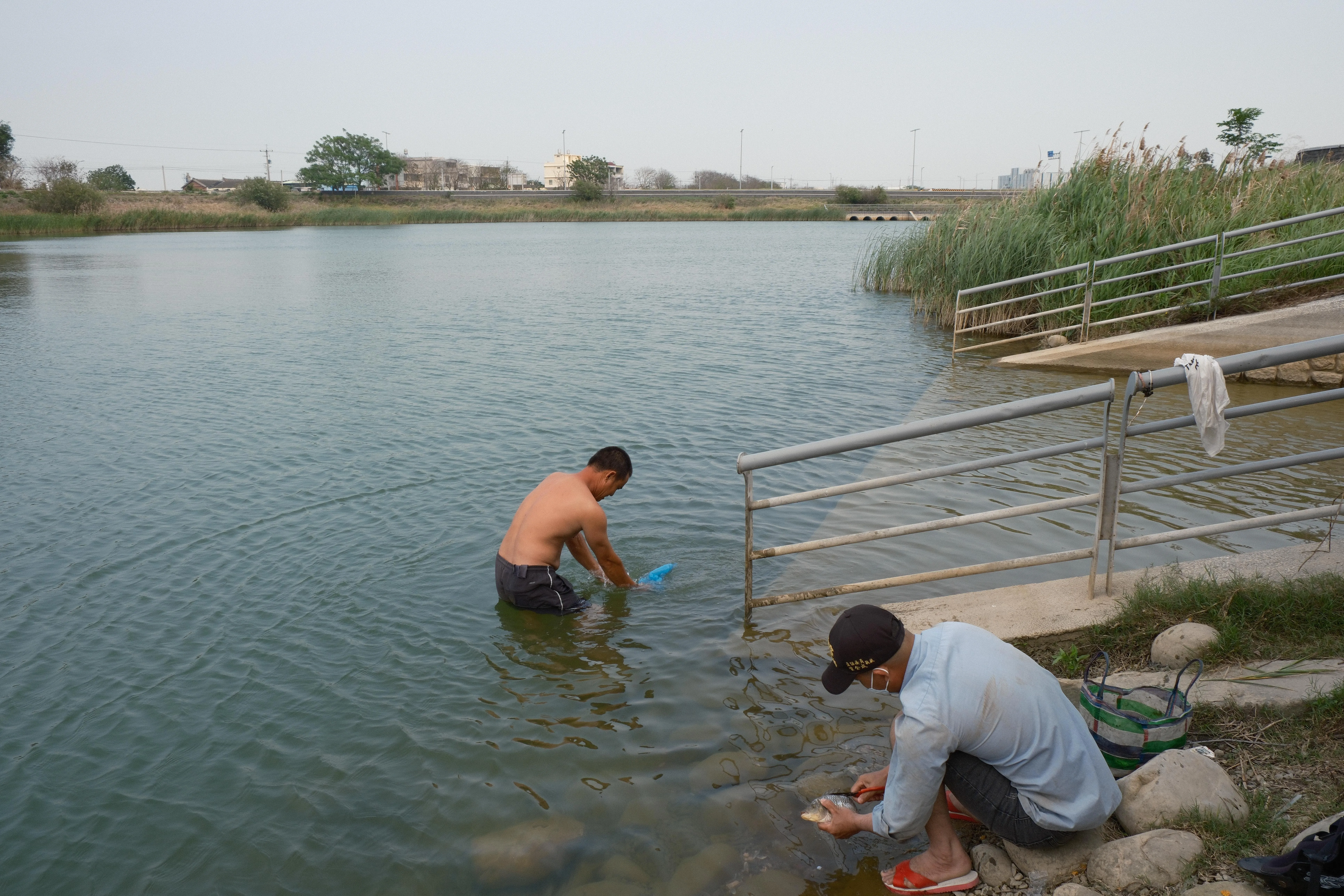 Erlin — Meifang - Image 8