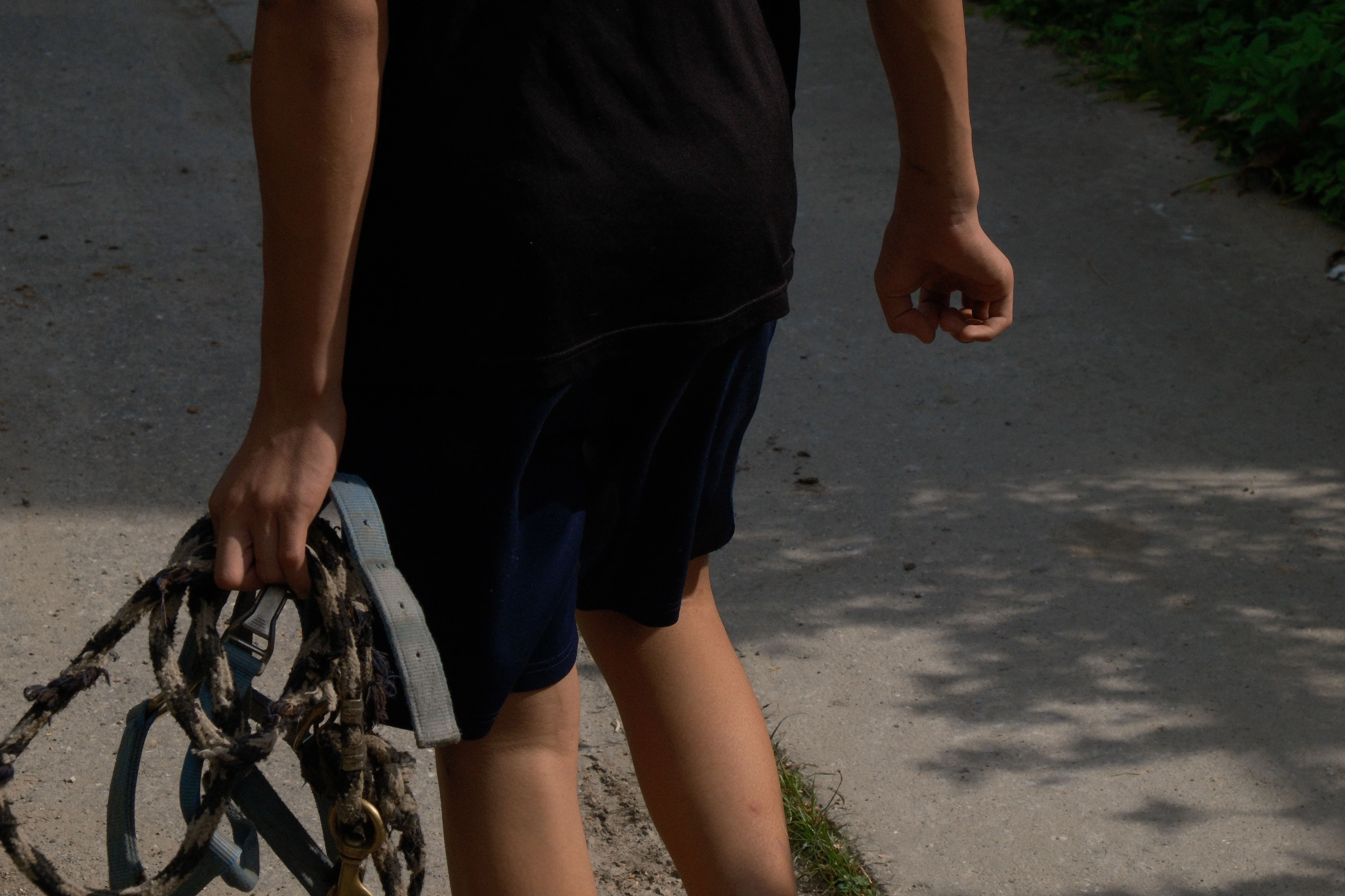 Silent on Horseback - Image 2