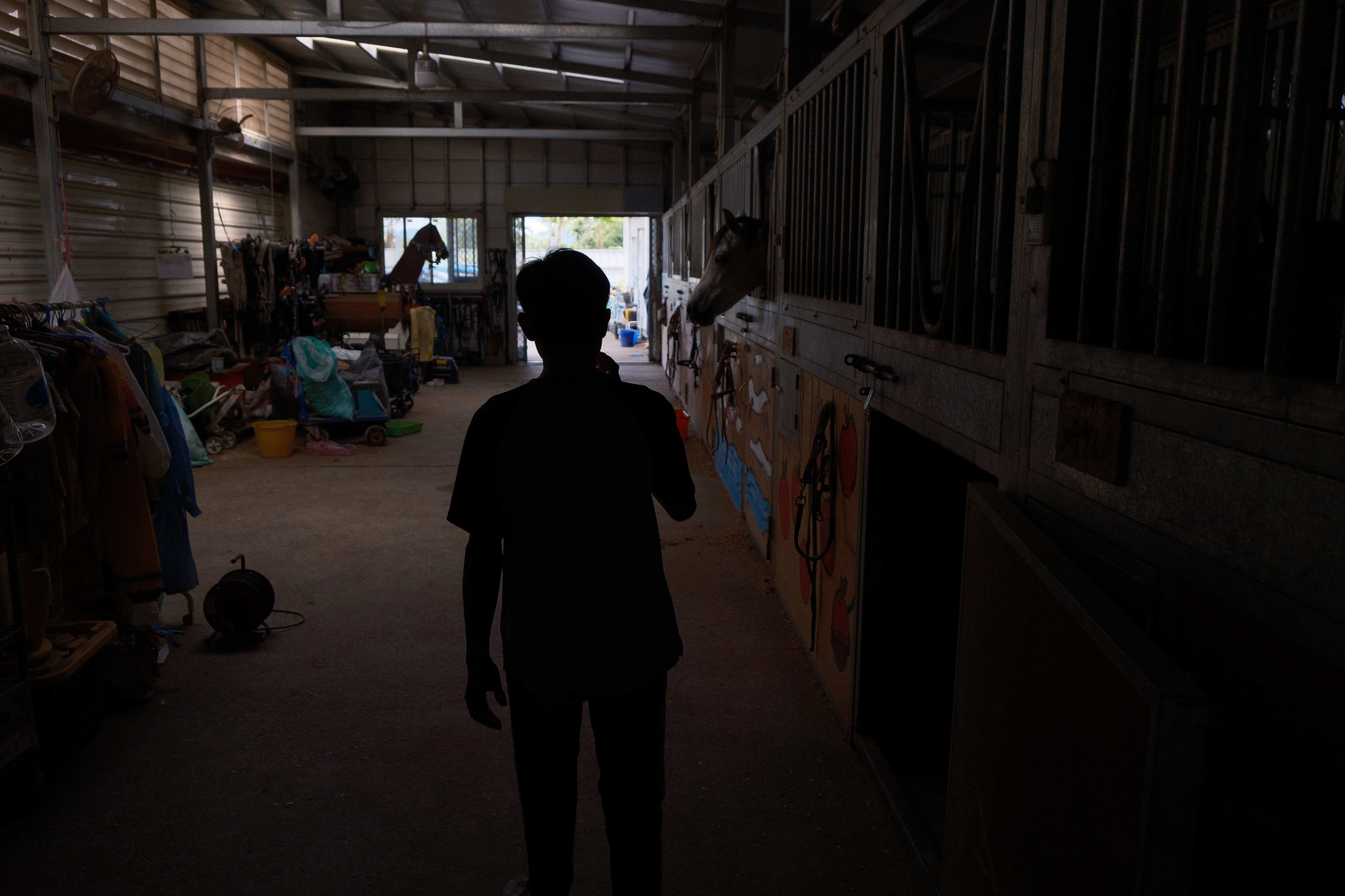 Silent on Horseback - Image 6