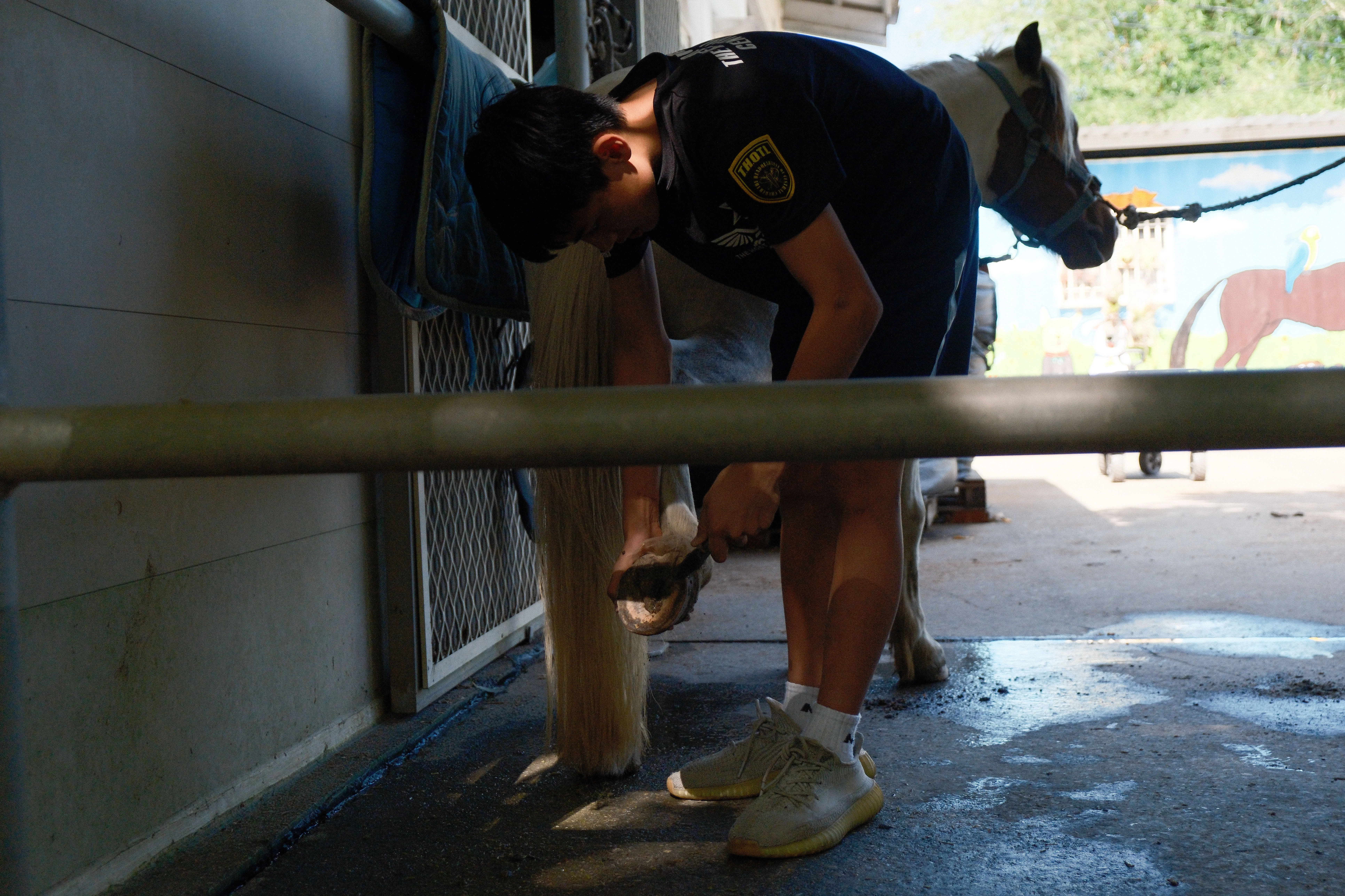 Silent on Horseback - Image 9