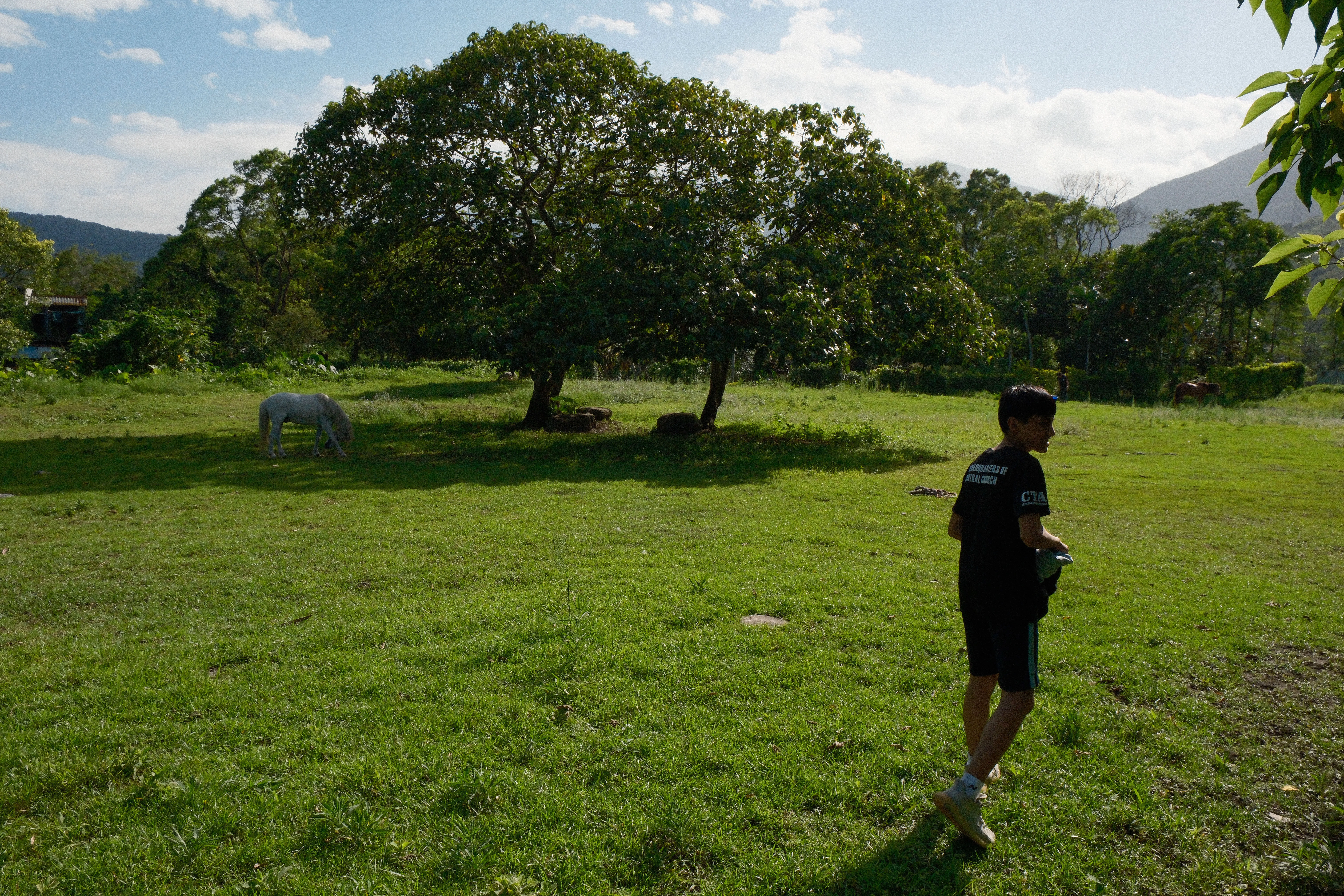 Silent on Horseback - Image 13