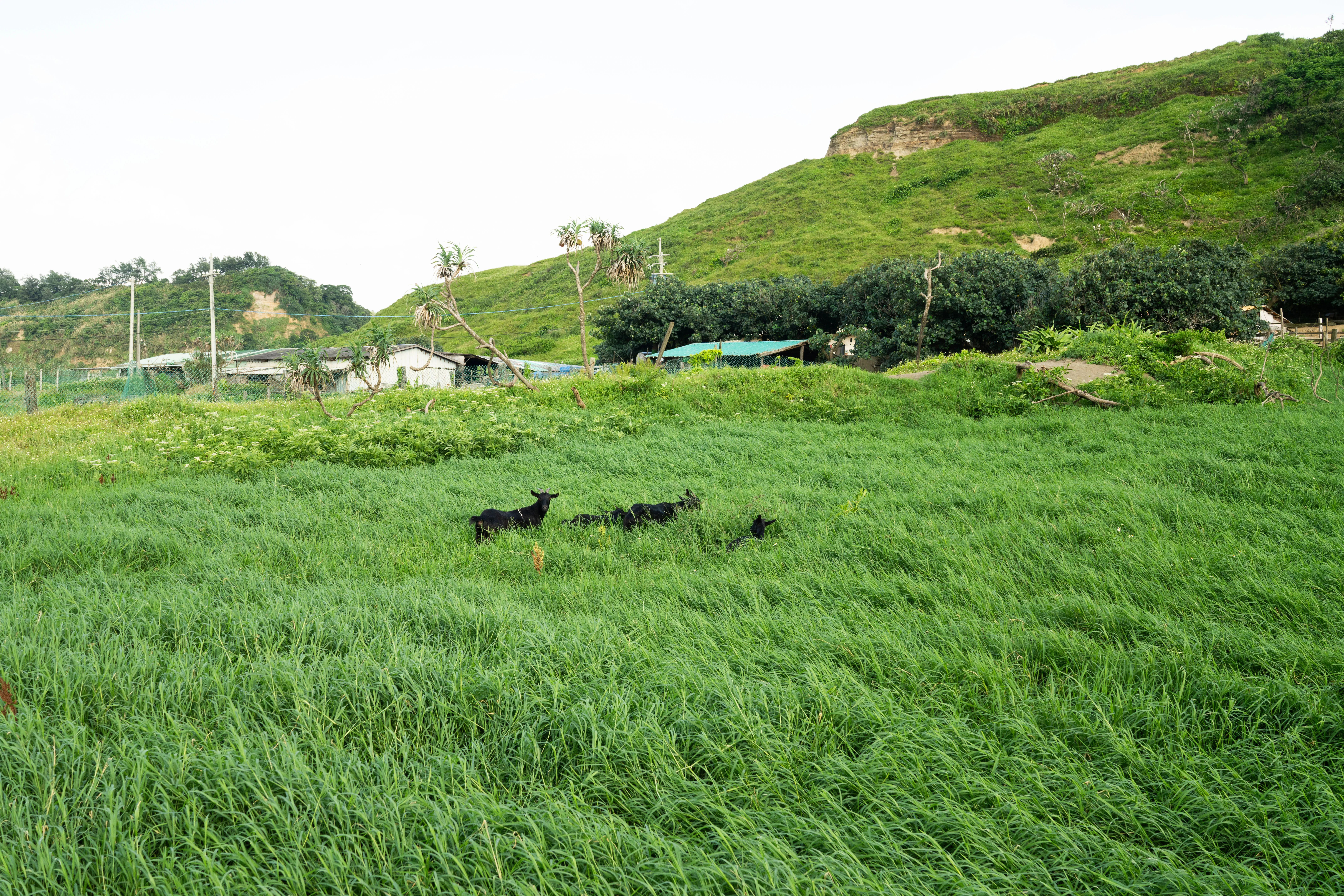 Provincial Highway 61 - Image 2