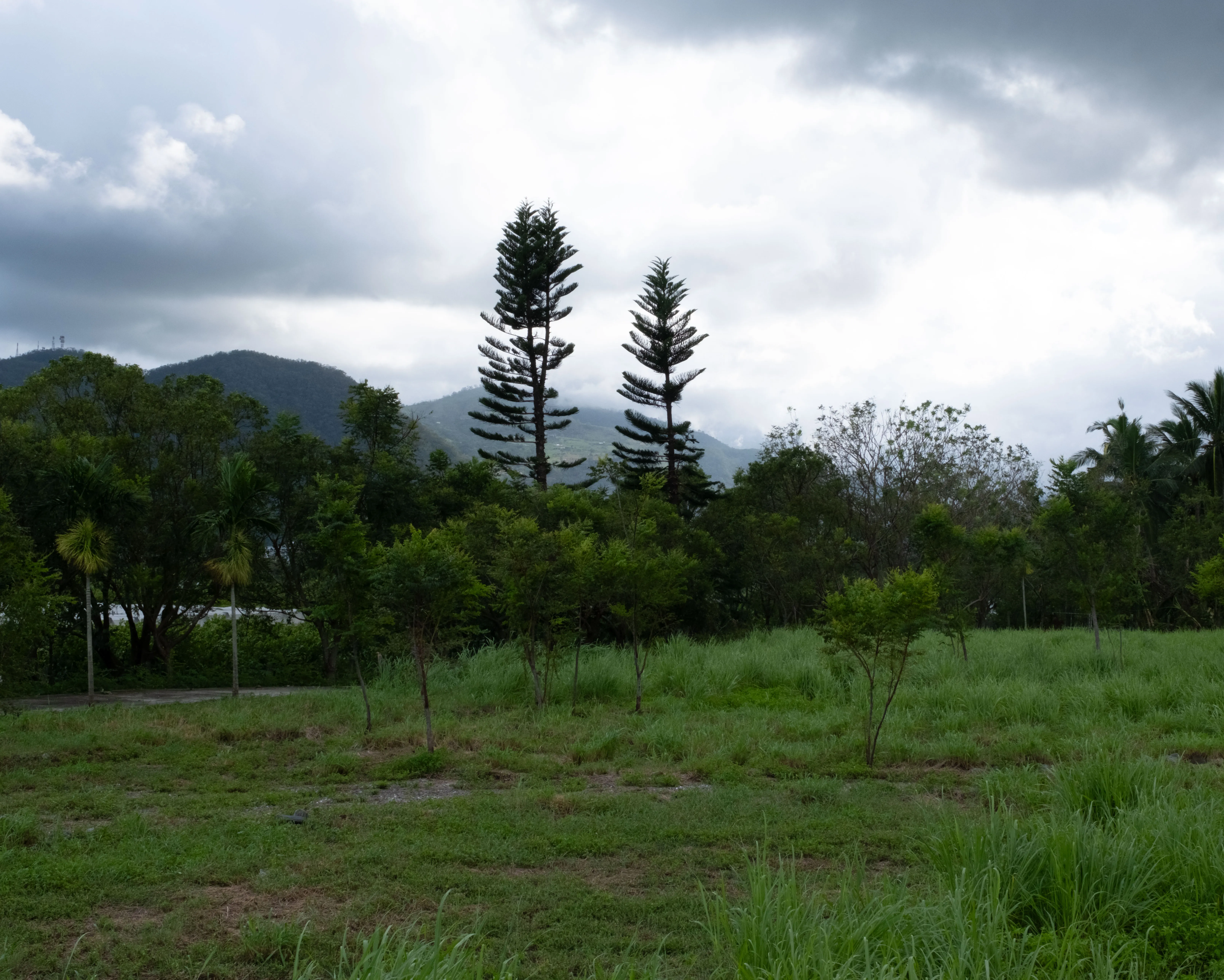 Katratripulr(知本） - Image 1