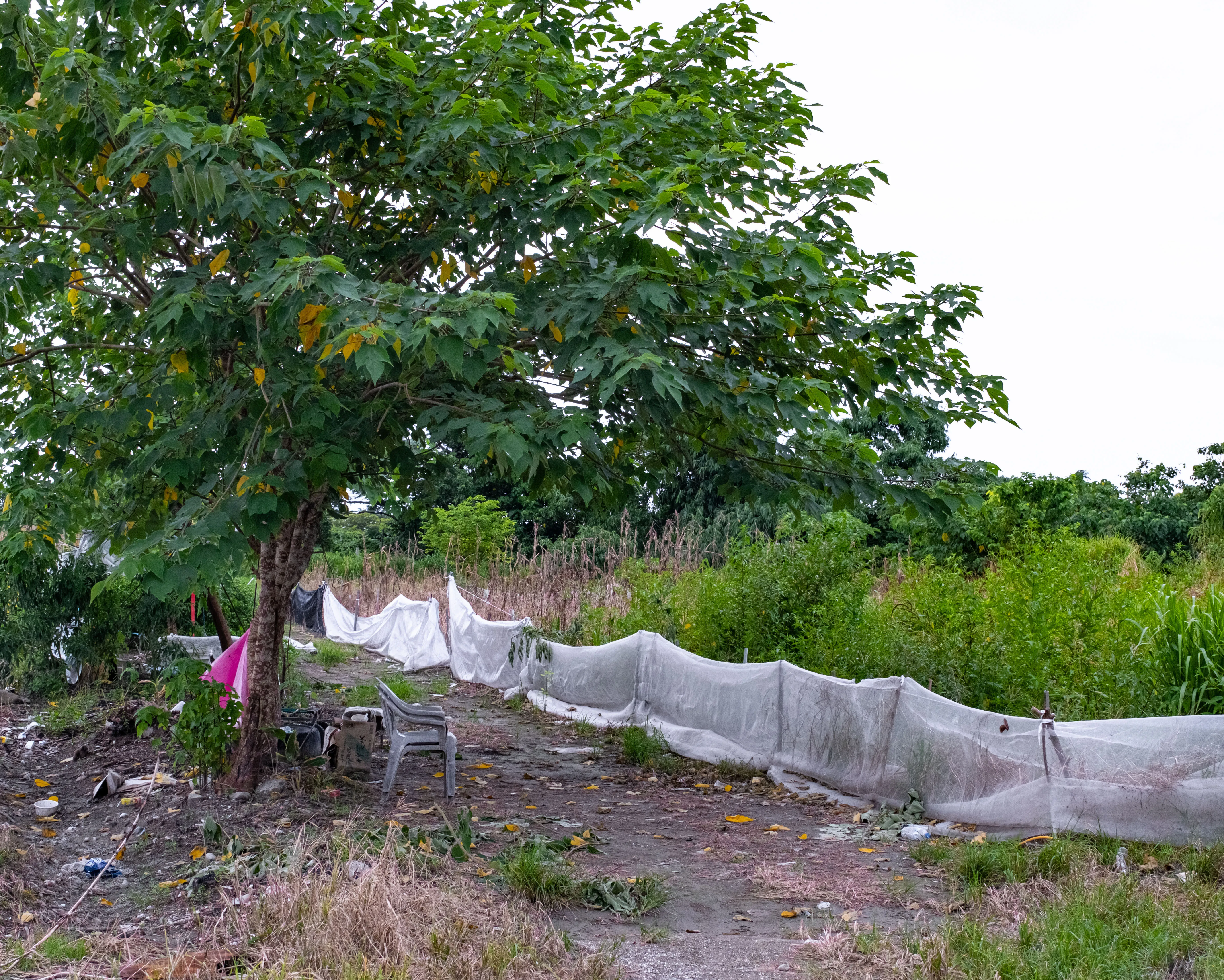 Katratripulr(知本） - Image 3