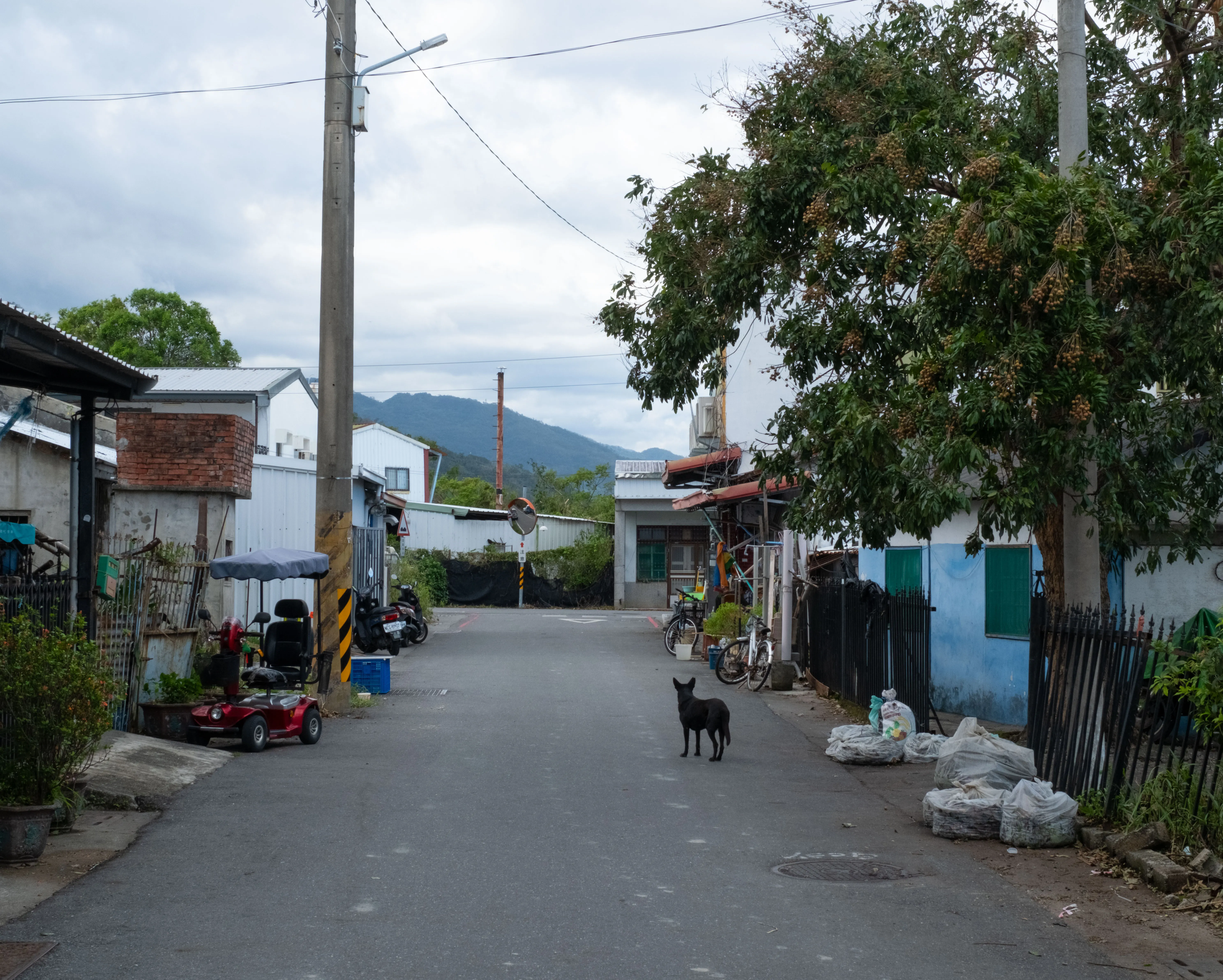 Katratripulr(知本） - Image 16