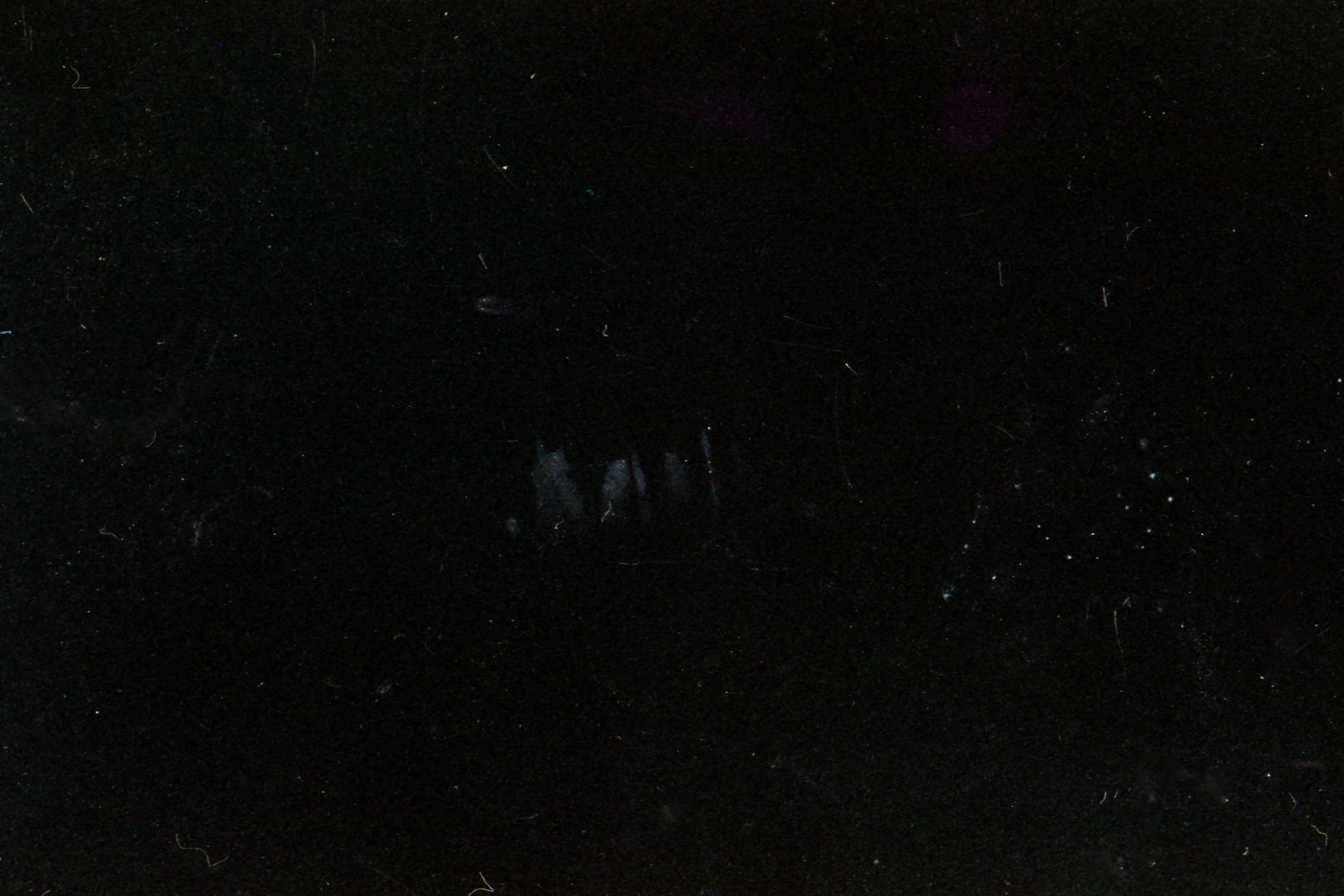 Starry Sky - Image 6